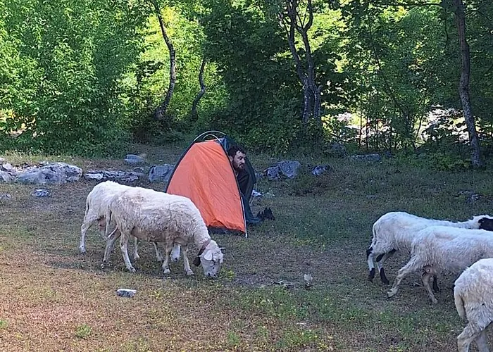North Wild Kamp alanı