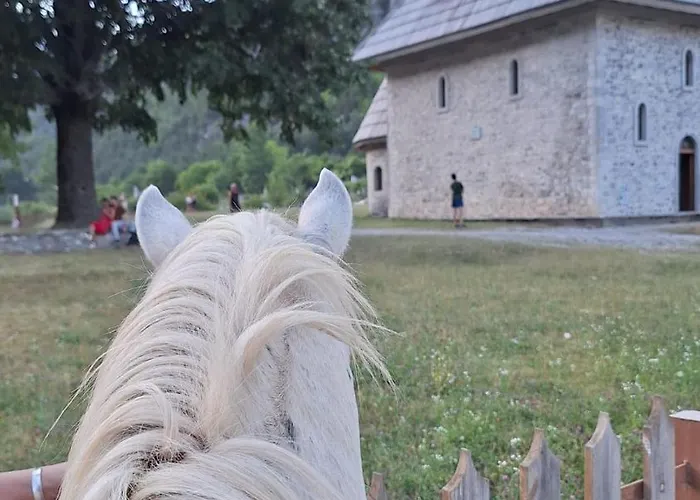 North Wild Parque de Campismo